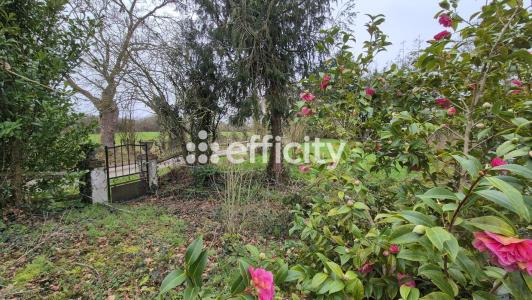 Acheter Maison 207 m2 Mandeville-en-bessin