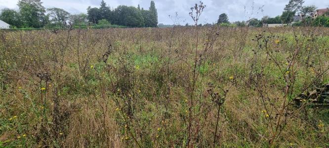 Annonce Vente Terrain  89