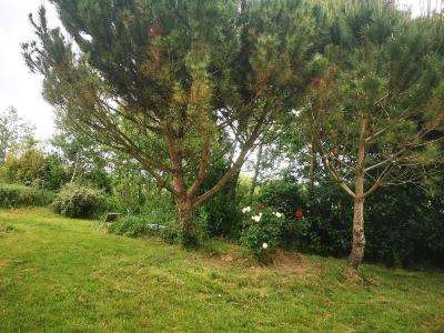 For sale TALMONT, LIEU DIT: LES SO 9295 m2 Vendee (85440) photo 2