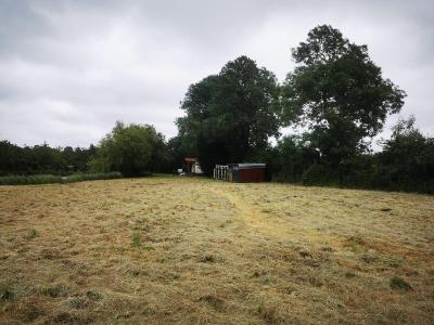 For sale TALMONT, LIEU DIT: LES SO 9295 m2 Vendee (85440) photo 4