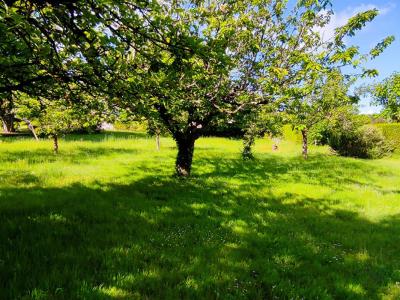 Acheter Maison 109 m2 Preuilly-sur-claise