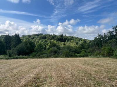 Annonce Vente Terrain Saint-yrieix-la-perche 87