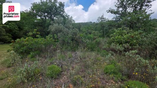 For sale Cabris SAINT-CEZAIRE-SUR-SIAGNE 2500 m2 Alpes Maritimes (06530) photo 2