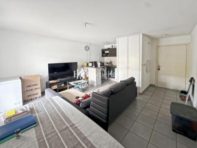 Annonce Location Appartement Toulouse 31