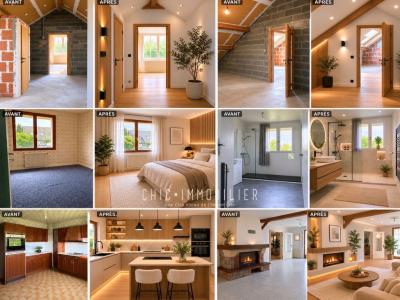 Acheter Maison Ormes 295000 euros