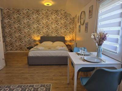 For rent Reims 1 room 26 m2 Marne (51100) photo 0