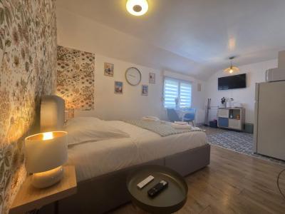 Louer Appartement Reims 875 euros