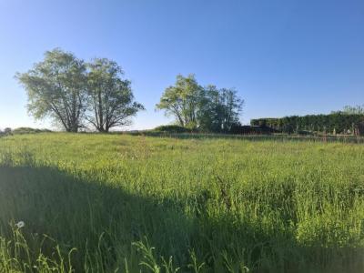 For sale Flaujagues 2055 m2 Gironde (33350) photo 0
