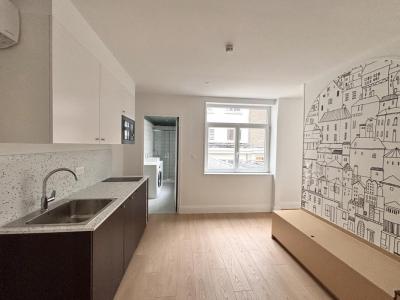 Acheter Appartement Lille 260000 euros