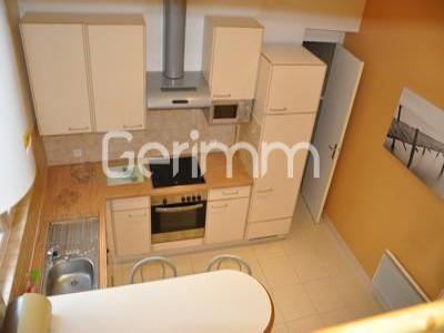 Annonce Location Appartement Grenoble 38
