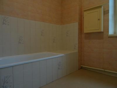 Louer Appartement 52 m2 Villeneuve-sur-yonne