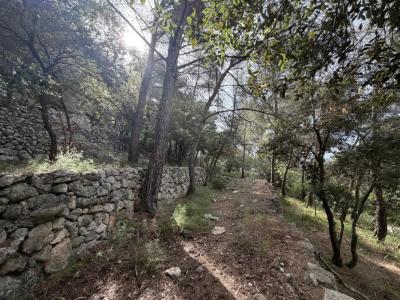 Annonce Vente Terrain Falicon 06
