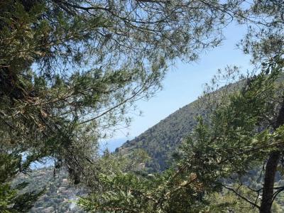 Acheter Terrain 2925 m2 Falicon