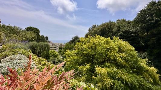 For sale Nice 1 room 27 m2 Alpes Maritimes (06200) photo 3