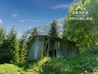 Annonce Vente 3 pi�ces Maison Sixt-fer-a-cheval 74