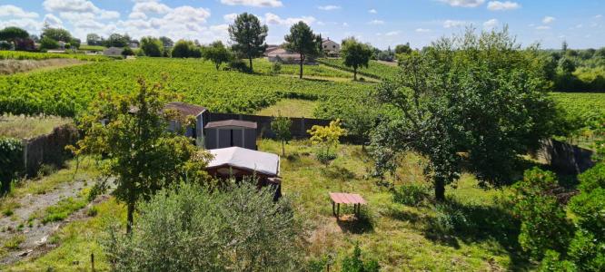 For sale Prignac-et-marcamps 787 m2 Gironde (33710) photo 2