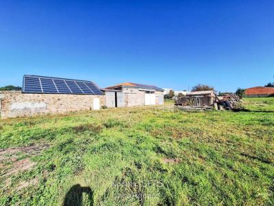 Acheter Terrain 3302 m2 Tourlandry