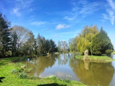 Acheter Terrain  Mayenne