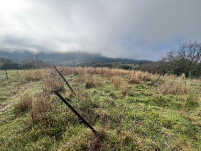 Acheter Terrain 