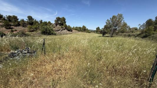 For sale Aude (11200) photo 2