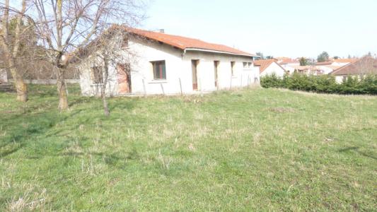 Annonce Vente 4 pi�ces Maison Cussac-sur-loire 43