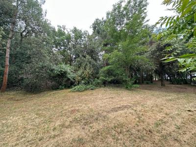 Annonce Vente 4 pi�ces Maison Saint-georges-de-didonne 17