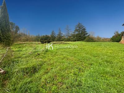 Acheter Maison 400 m2 Montesquieu-volvestre