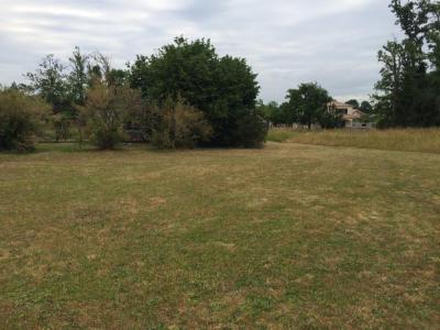 For sale Castelnau-de-medoc 480 m2 Gironde (33480) photo 0