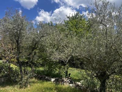 Acheter Maison Saint-maximin-la-sainte-baume Var