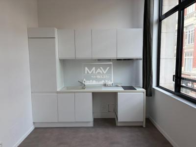 Louer Appartement 37 m2 Roubaix