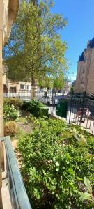 Annonce Location 4 pi�ces Appartement Nancy 54