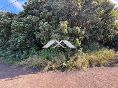 Annonce Vente Terrain Saint-joseph 974
