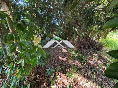 Acheter Terrain 380 m2 Saint-joseph