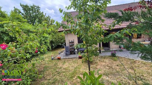 For sale Saint-germain-sur-rhone 5 rooms 192 m2 Ain (01200) photo 0