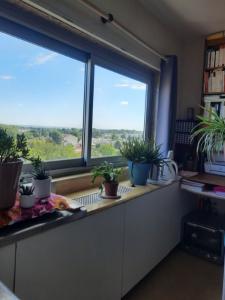 For rent Gradignan 1 room 18 m2 Gironde (33170) photo 0
