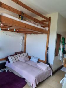 Annonce Location Appartement Gradignan 33