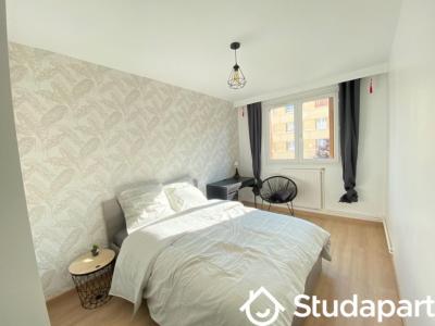 Annonce Location Appartement Saint-andre-les-vergers 10