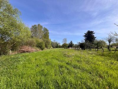 Annonce Vente Terrain Beaufay 72