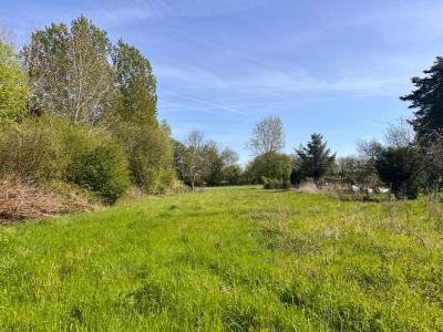 Acheter Terrain 8776 m2 Beaufay