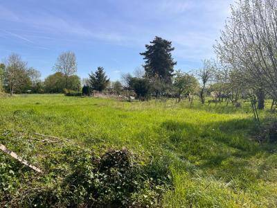 Acheter Terrain Beaufay Sarthe