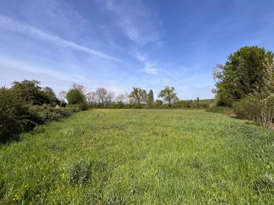 Annonce Vente Terrain Beaufay 72