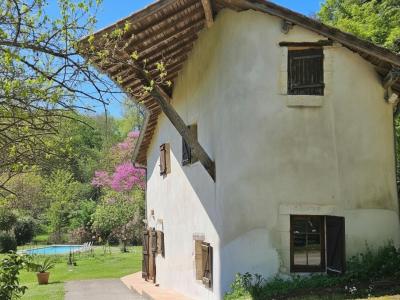 Acheter Maison 335 m2 Agen