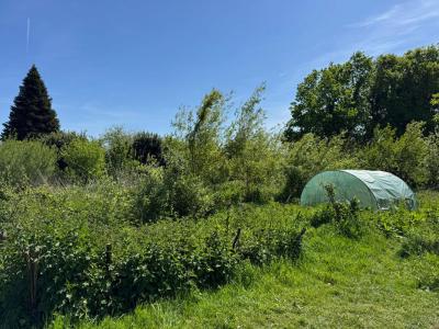 For sale Camors 2 rooms 83 m2 Morbihan (56330) photo 3