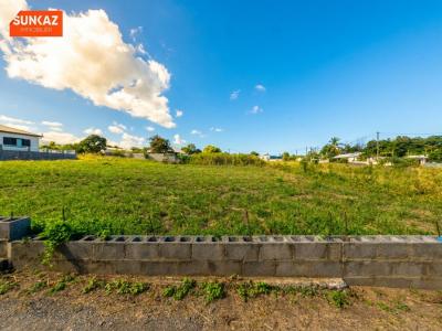 Acheter Terrain 278 m2 Saint-pierre