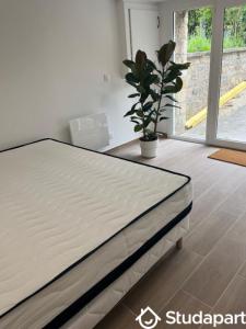 Louer Appartement 18 m2 Caen