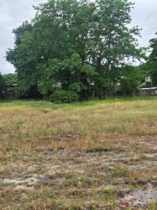For sale Landiras 700 m2 Gironde (33720) photo 0