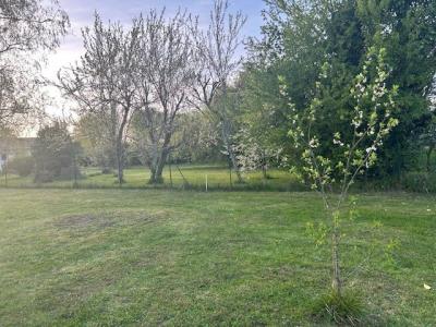 Acheter Terrain Martillac 189000 euros