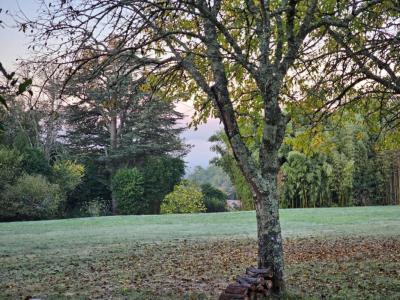 For sale Loupes 540 m2 Gironde (33370) photo 0