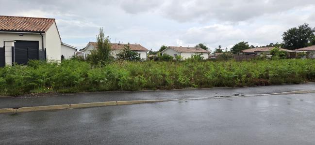 For sale Parentis-en-born 505 m2 Landes (40160) photo 0