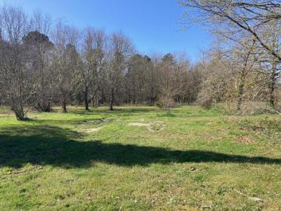 For sale Lanton 700 m2 Gironde (33138) photo 0